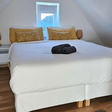 Modern 2.5 Bedroom Duplex Near Messe, Airport, Arena Appartement
